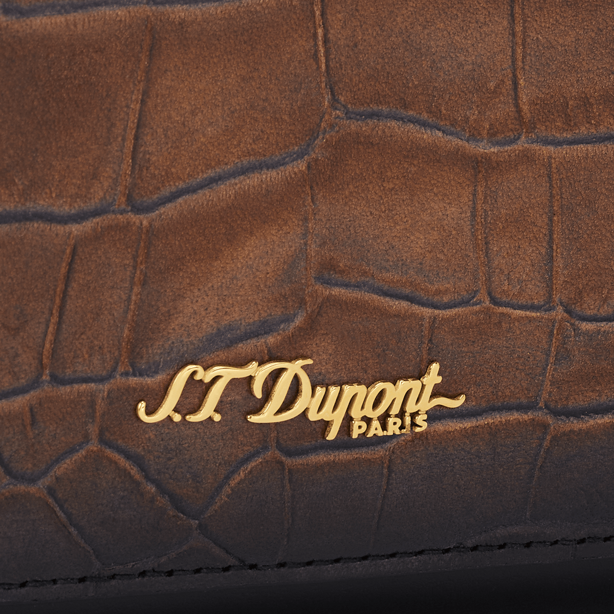 Petite sacoche à cigares camera bag color_brown fall - selection 4 - S.T. Dupont France