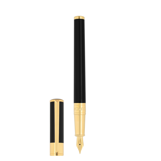 270202 - STDUPONT - France - Stylo plume - 3