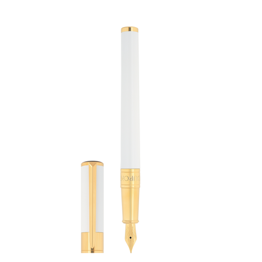 270217 - STDUPONT - France - Stylo plume - 3
