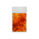 Briquet Laqué